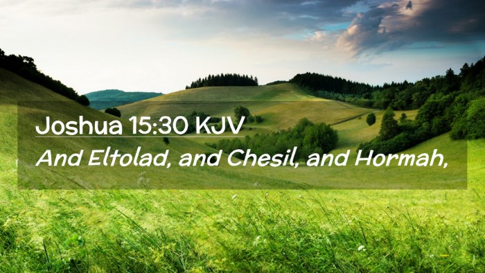 Picture 02 - Joshua 15:30 KJV Desktop Wallpaper - And Eltolad, and Chesil, and - Desktop Bible Verse Wallpaper