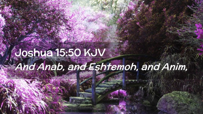 Picture 02 - Joshua 15:50 KJV Desktop Wallpaper - And Anab, and Eshtemoh, and - Desktop Bible Verse Wallpaper