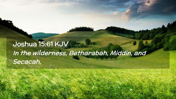 Picture 02 - Joshua 15:61 KJV Desktop Wallpaper - In the wilderness, Betharabah, Middin, and - Desktop Bible Verse Wallpaper