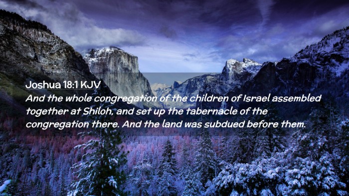 Picture 02 - Joshua 18:1 KJV Desktop Wallpaper - And the whole congregation of the children of - Desktop Bible Verse Wallpaper