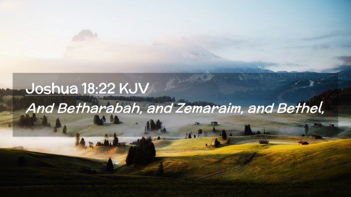 Picture 02 - Joshua 18:22 KJV Desktop Wallpaper - And Betharabah, and Zemaraim, and - Desktop Bible Verse Wallpaper