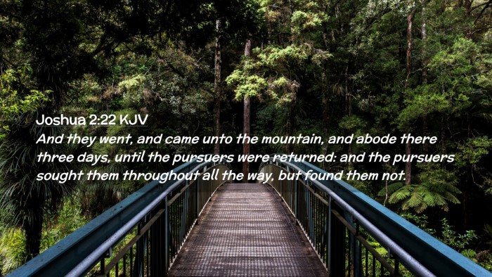 Picture 02 - Joshua 2:22 KJV Desktop Wallpaper - And they went, and came unto the mountain, and - Desktop Bible Verse Wallpaper