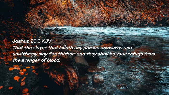 Picture 02 - Joshua 20:3 KJV Desktop Wallpaper - That the slayer that killeth any person unawares - Desktop Bible Verse Wallpaper