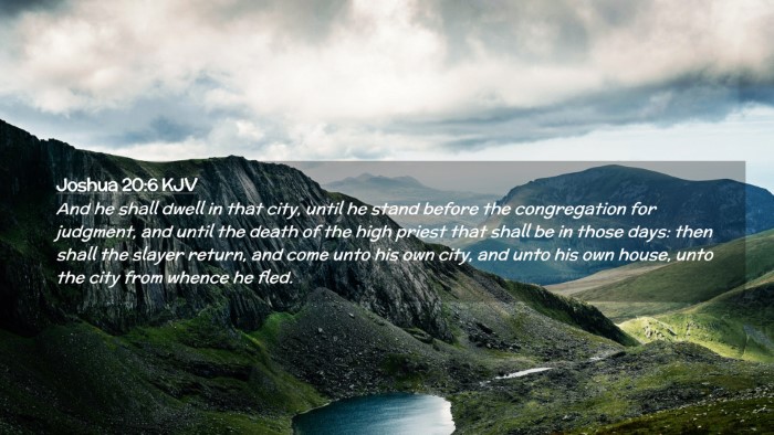Picture 02 - Joshua 20:6 KJV Desktop Wallpaper - And he shall dwell in that city, until he stand - Desktop Bible Verse Wallpaper