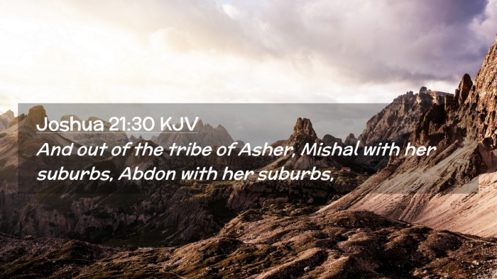 Picture 02 - Joshua 21:30 KJV Desktop Wallpaper - And out of the tribe of Asher, Mishal with her - Desktop Bible Verse Wallpaper