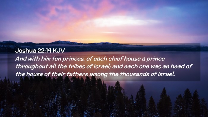 Picture 02 - Joshua 22:14 KJV Desktop Wallpaper - And with him ten princes, of each chief house a - Desktop Bible Verse Wallpaper