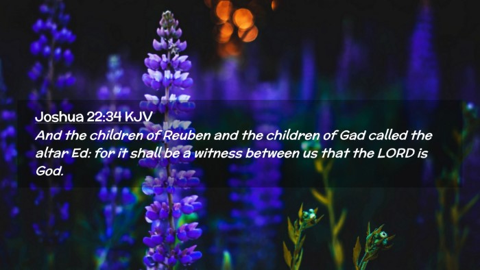 Picture 02 - Joshua 22:34 KJV Desktop Wallpaper - And the children of Reuben and the children of - Desktop Bible Verse Wallpaper