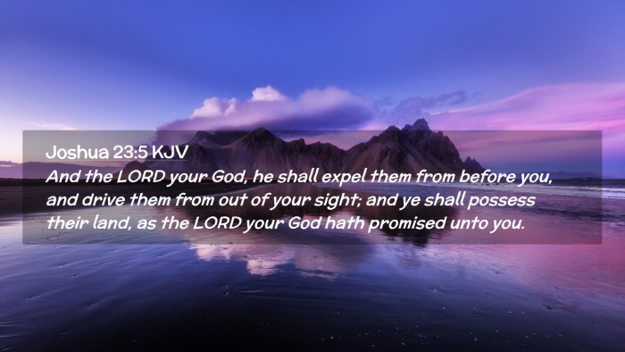 Picture 02 - Joshua 23:5 KJV Desktop Wallpaper - And the LORD your God, he shall expel them from - Desktop Bible Verse Wallpaper