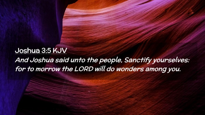 Picture 02 - Joshua 3:5 KJV Desktop Wallpaper - And Joshua said unto the people, Sanctify - Desktop Bible Verse Wallpaper