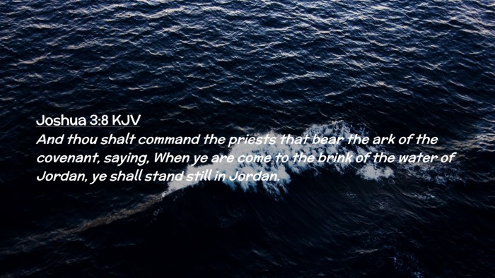 Picture 02 - Joshua 3:8 KJV Desktop Wallpaper - And thou shalt command the priests that bear the - Desktop Bible Verse Wallpaper