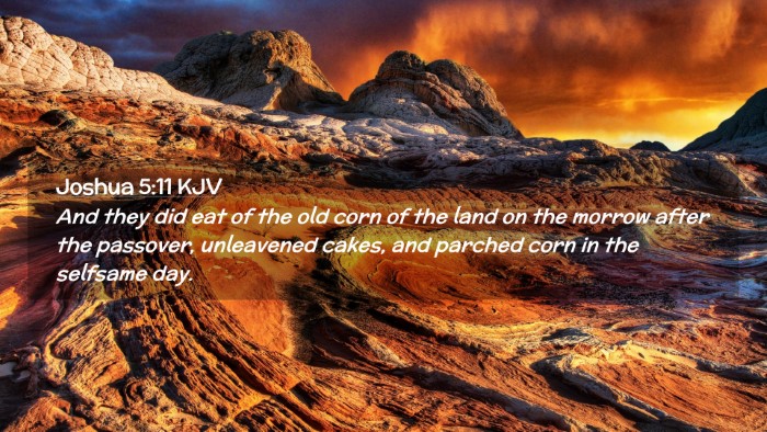 Picture 02 - Joshua 5:11 KJV Desktop Wallpaper - And they did eat of the old corn of the land on - Desktop Bible Verse Wallpaper