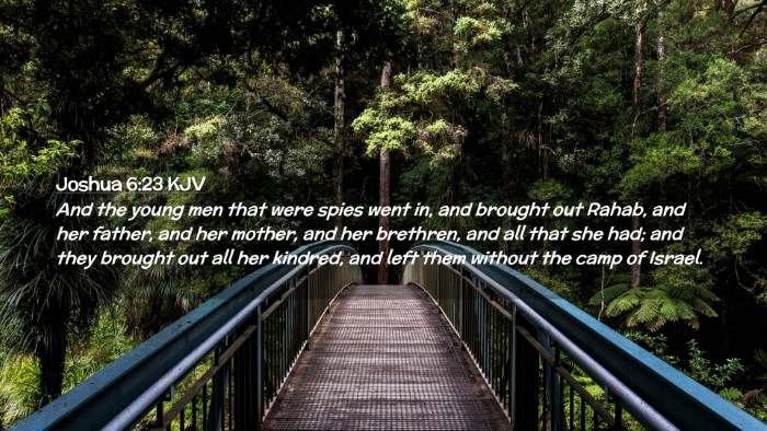 Picture 02 - Joshua 6:23 KJV Desktop Wallpaper - And the young men that were spies went in, and - Desktop Bible Verse Wallpaper