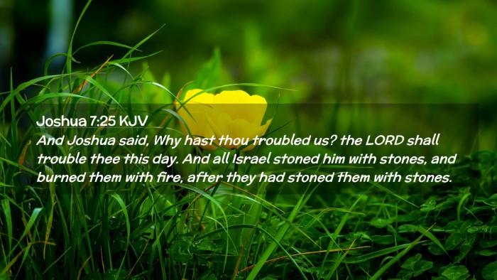 Picture 02 - Joshua 7:25 KJV Desktop Wallpaper - And Joshua said, Why hast thou troubled us? the - Desktop Bible Verse Wallpaper