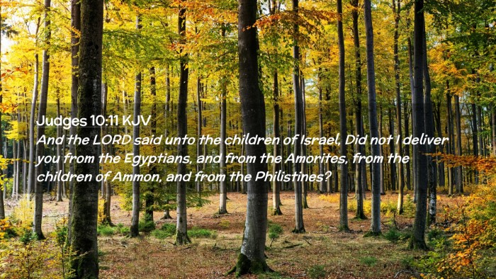 Picture 02 - Judges 10:11 KJV Desktop Wallpaper - And the LORD said unto the children of Israel, - Desktop Bible Verse Wallpaper