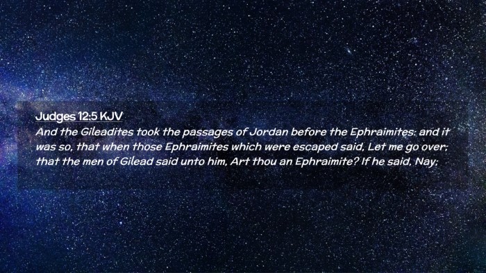Picture 02 - Judges 12:5 KJV Desktop Wallpaper - And the Gileadites took the passages of Jordan - Desktop Bible Verse Wallpaper
