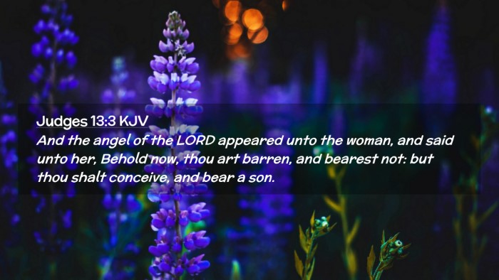 Picture 02 - Judges 13:3 KJV Desktop Wallpaper - And the angel of the LORD appeared unto the - Desktop Bible Verse Wallpaper