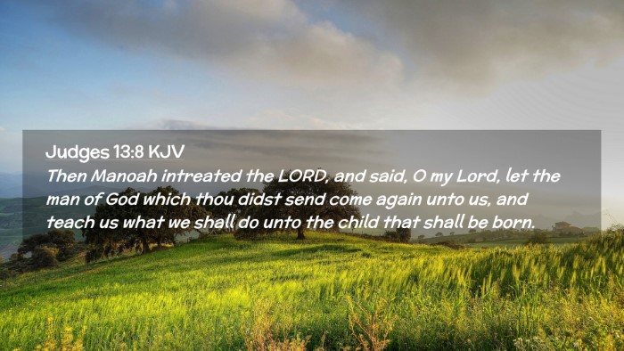 Picture 02 - Judges 13:8 KJV Desktop Wallpaper - Then Manoah intreated the LORD, and said, O my - Desktop Bible Verse Wallpaper