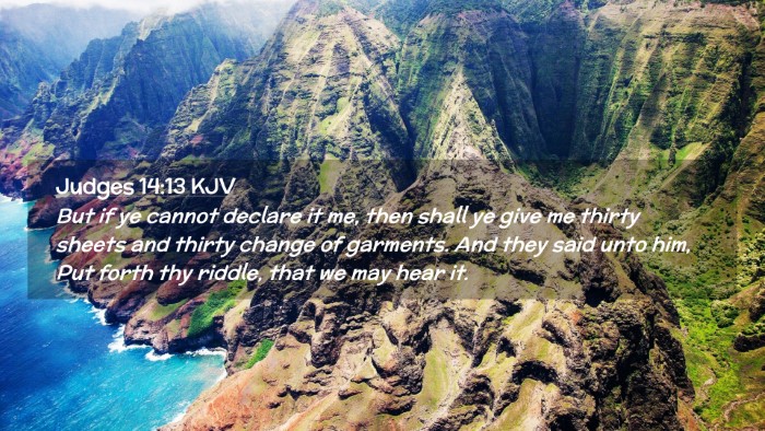 Picture 02 - Judges 14:13 KJV Desktop Wallpaper - But if ye cannot declare it me, then shall ye - Desktop Bible Verse Wallpaper