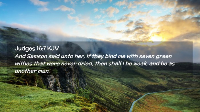 Picture 02 - Judges 16:7 KJV Desktop Wallpaper - And Samson said unto her, If they bind me with - Desktop Bible Verse Wallpaper