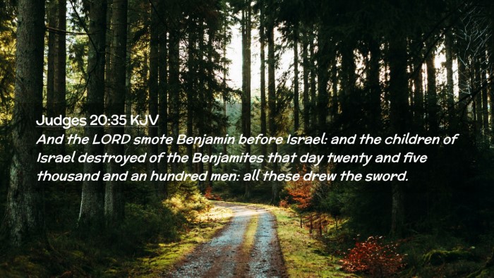 Picture 02 - Judges 20:35 KJV Desktop Wallpaper - And the LORD smote Benjamin before Israel: and - Desktop Bible Verse Wallpaper