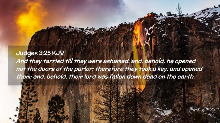 Picture 02 - Judges 3:25 KJV Desktop Wallpaper - And they tarried till they were ashamed: and, - Desktop Bible Verse Wallpaper