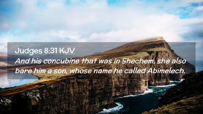 Picture 02 - Judges 8:31 KJV Desktop Wallpaper - And his concubine that was in Shechem, she also - Desktop Bible Verse Wallpaper