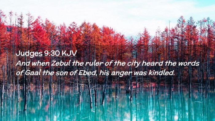 Picture 02 - Judges 9:30 KJV Desktop Wallpaper - And when Zebul the ruler of the city heard the - Desktop Bible Verse Wallpaper