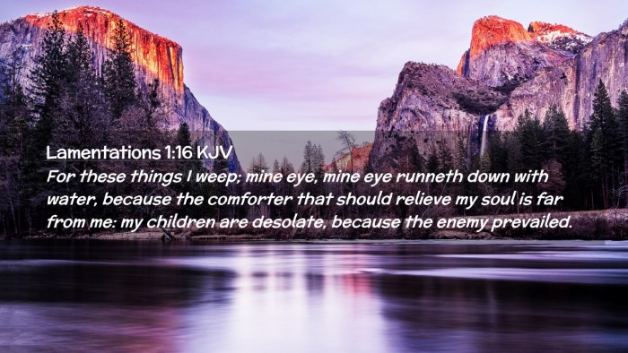Picture 02 - Lamentations 1:16 KJV Desktop Wallpaper - For these things I weep; mine eye, mine eye - Desktop Bible Verse Wallpaper