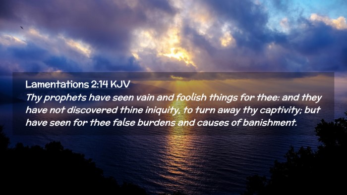 Picture 02 - Lamentations 2:14 KJV Desktop Wallpaper - Thy prophets have seen vain and foolish things - Desktop Bible Verse Wallpaper