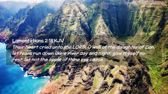 Picture 02 - Lamentations 2:18 KJV Desktop Wallpaper - Their heart cried unto the LORD, O wall of the - Desktop Bible Verse Wallpaper