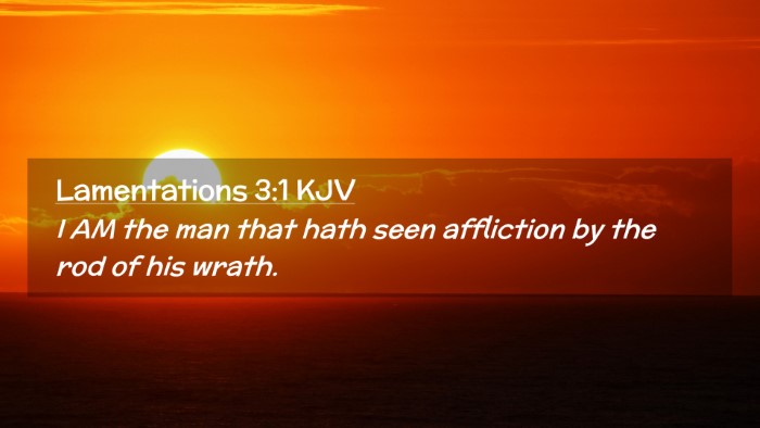 Picture 02 - Lamentations 3:1 KJV Desktop Wallpaper - I AM the man that hath seen affliction by the rod - Desktop Bible Verse Wallpaper