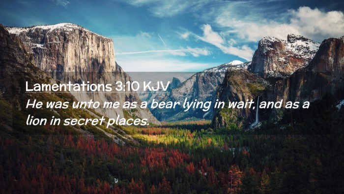Picture 02 - Lamentations 3:10 KJV Desktop Wallpaper - He was unto me as a bear lying in wait, and as a - Desktop Bible Verse Wallpaper
