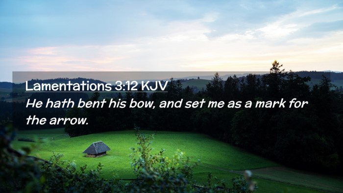 Picture 02 - Lamentations 3:12 KJV Desktop Wallpaper - He hath bent his bow, and set me as a mark for - Desktop Bible Verse Wallpaper