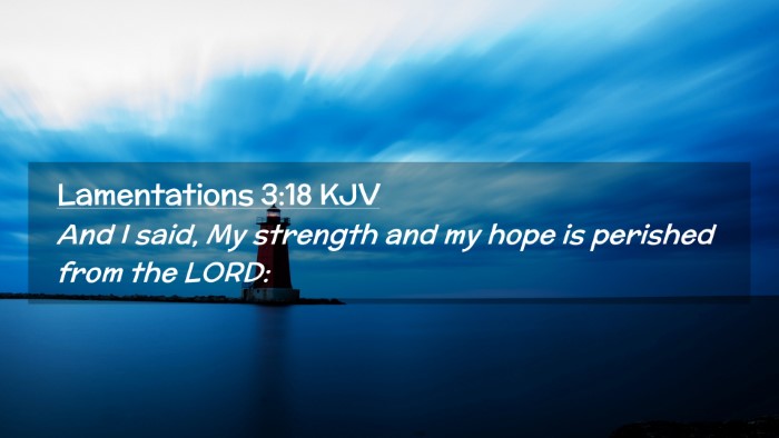 Picture 02 - Lamentations 3:18 KJV Desktop Wallpaper - And I said, My strength and my hope is perished - Desktop Bible Verse Wallpaper