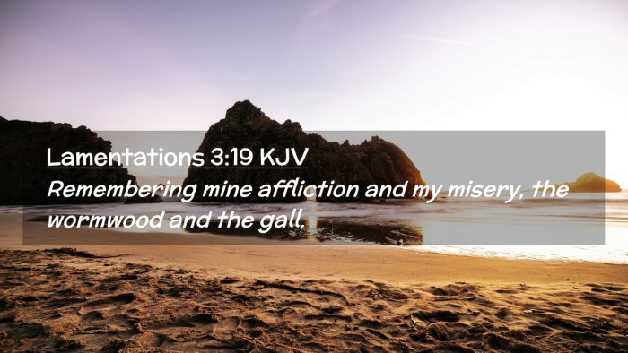 Picture 02 - Lamentations 3:19 KJV Desktop Wallpaper - Remembering mine affliction and my misery, the - Desktop Bible Verse Wallpaper