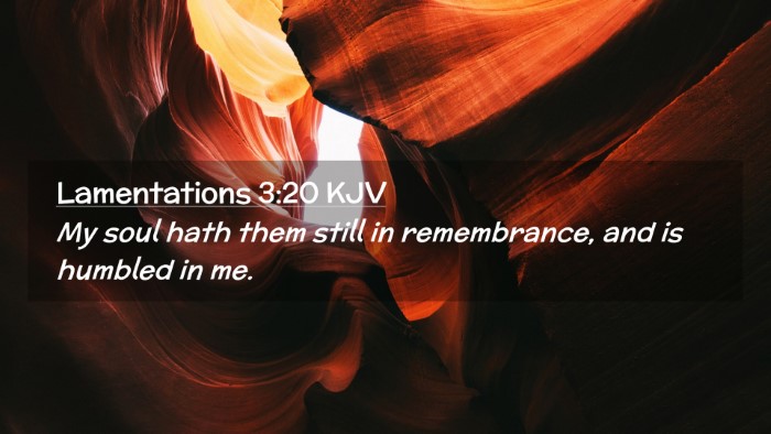 Picture 02 - Lamentations 3:20 KJV Desktop Wallpaper - My soul hath them still in remembrance, and is - Desktop Bible Verse Wallpaper