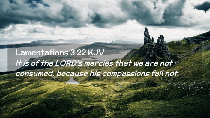Picture 02 - Lamentations 3:22 KJV Desktop Wallpaper - It is of the LORD's mercies that we are not - Desktop Bible Verse Wallpaper