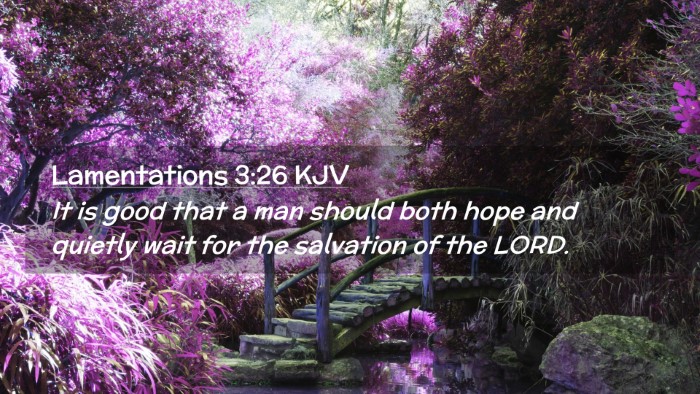 Picture 02 - Lamentations 3:26 KJV Desktop Wallpaper - It is good that a man should both hope and - Desktop Bible Verse Wallpaper