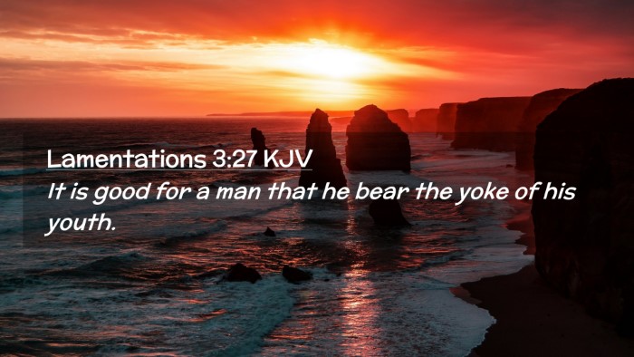 Picture 02 - Lamentations 3:27 KJV Desktop Wallpaper - It is good for a man that he bear the yoke of his - Desktop Bible Verse Wallpaper