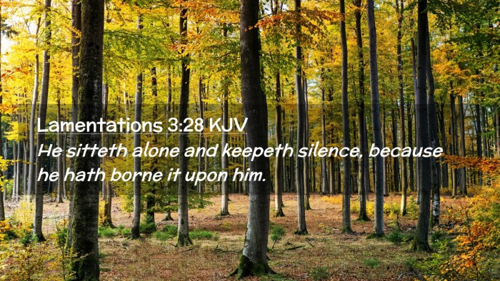 Picture 02 - Lamentations 3:28 KJV Desktop Wallpaper - He sitteth alone and keepeth silence, because he - Desktop Bible Verse Wallpaper