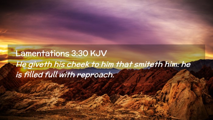 Picture 02 - Lamentations 3:30 KJV Desktop Wallpaper - He giveth his cheek to him that smiteth him: he - Desktop Bible Verse Wallpaper