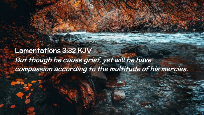 Picture 02 - Lamentations 3:32 KJV Desktop Wallpaper - But though he cause grief, yet will he have - Desktop Bible Verse Wallpaper