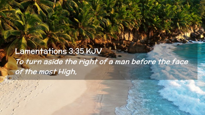 Picture 02 - Lamentations 3:35 KJV Desktop Wallpaper - To turn aside the right of a man before the face - Desktop Bible Verse Wallpaper