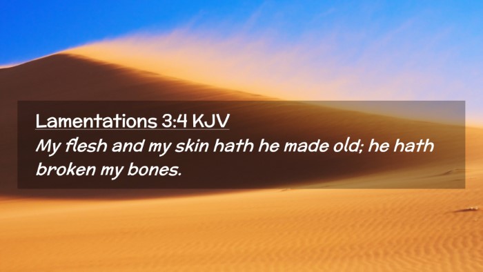 Picture 02 - Lamentations 3:4 KJV Desktop Wallpaper - My flesh and my skin hath he made old; he hath - Desktop Bible Verse Wallpaper