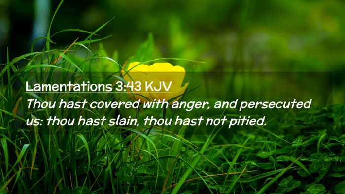 Picture 02 - Lamentations 3:43 KJV Desktop Wallpaper - Thou hast covered with anger, and persecuted us: - Desktop Bible Verse Wallpaper