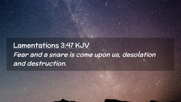 Picture 02 - Lamentations 3:47 KJV Desktop Wallpaper - Fear and a snare is come upon us, desolation and - Desktop Bible Verse Wallpaper