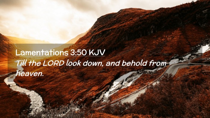 Picture 02 - Lamentations 3:50 KJV Desktop Wallpaper - Till the LORD look down, and behold from - Desktop Bible Verse Wallpaper