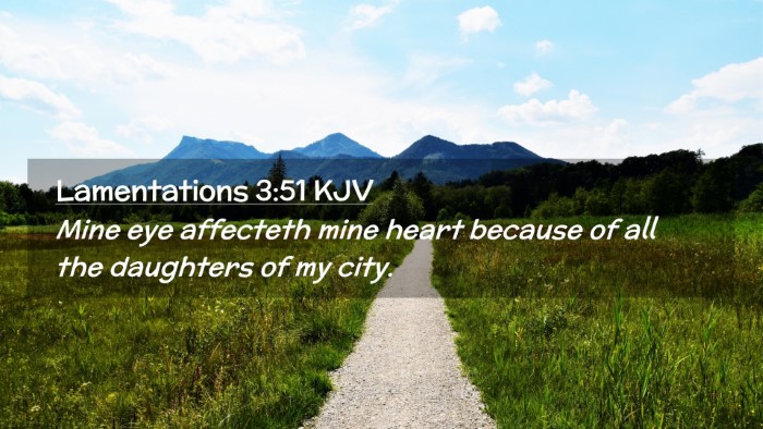 Picture 02 - Lamentations 3:51 KJV Desktop Wallpaper - Mine eye affecteth mine heart because of all the - Desktop Bible Verse Wallpaper