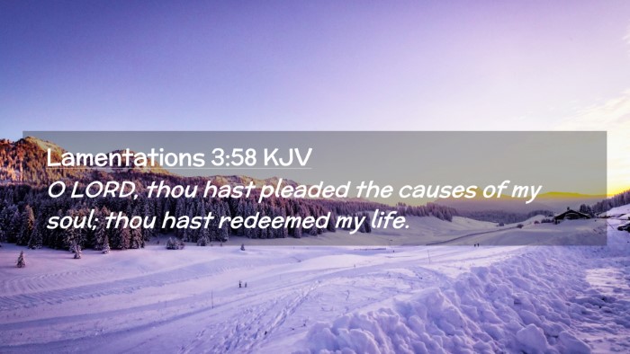 Picture 02 - Lamentations 3:58 KJV Desktop Wallpaper - O LORD, thou hast pleaded the causes of my soul; - Desktop Bible Verse Wallpaper