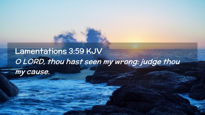 Picture 02 - Lamentations 3:59 KJV Desktop Wallpaper - O LORD, thou hast seen my wrong: judge thou my - Desktop Bible Verse Wallpaper